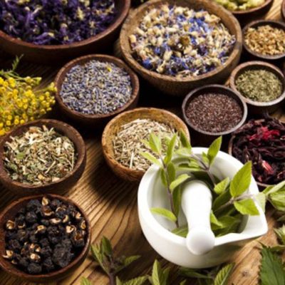 10 Ayurvedic Medicine Herbs And Their Benefits